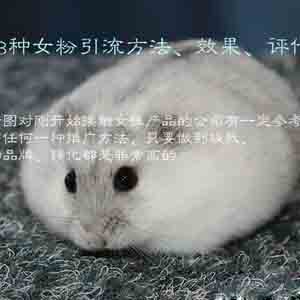 18種女粉引流方法、效果、評(píng)估